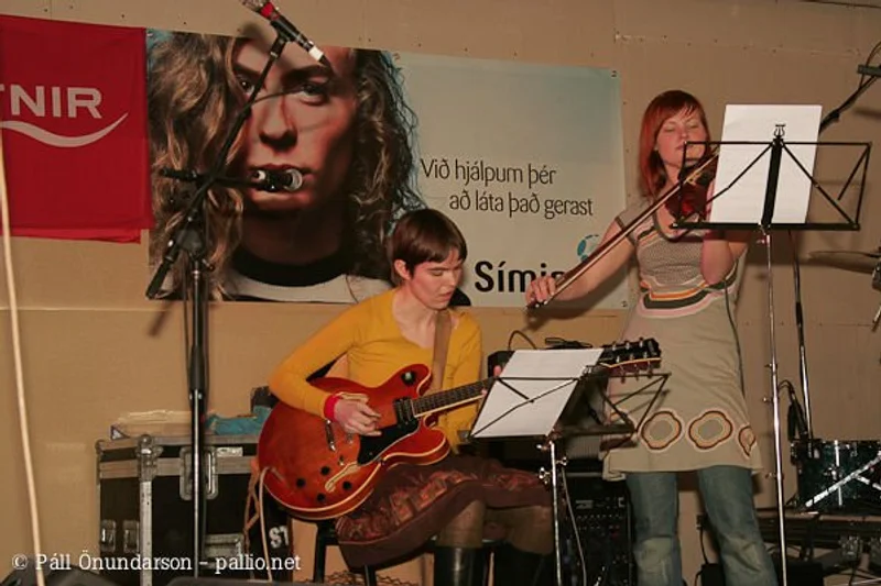 Aldrei fór ég suður 2006 - mynd 2