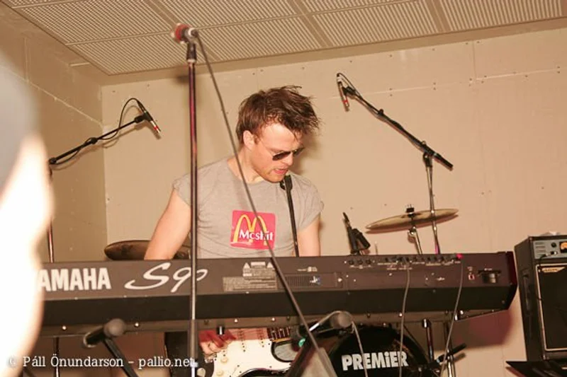 Aldrei fór ég suður 2006 - mynd 34