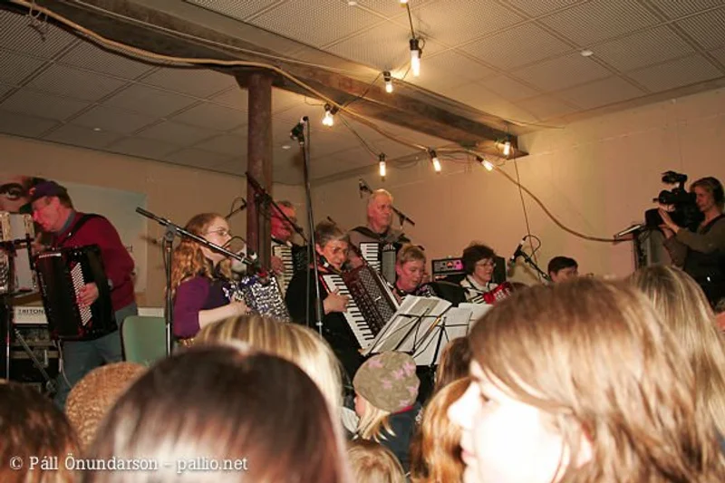 Aldrei fór ég suður 2006 - mynd 43