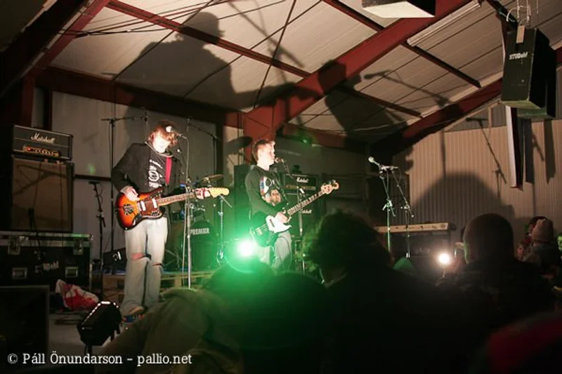 Aldrei fór ég suður 2007 - mynd 3