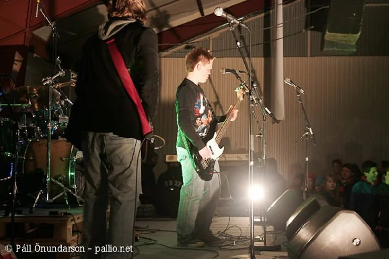 Aldrei fór ég suður 2007 - mynd 4