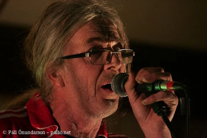 Aldrei fór ég suður 2007 - mynd 68