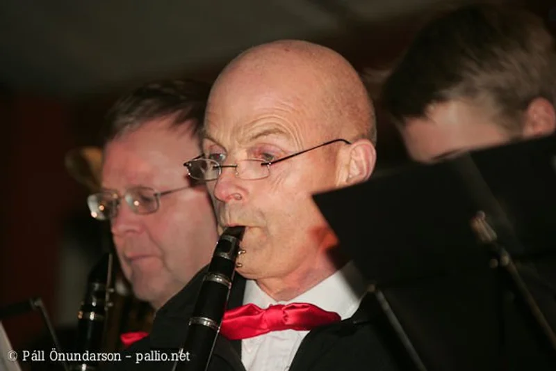 Aldrei fór ég suður 2007 - mynd 25