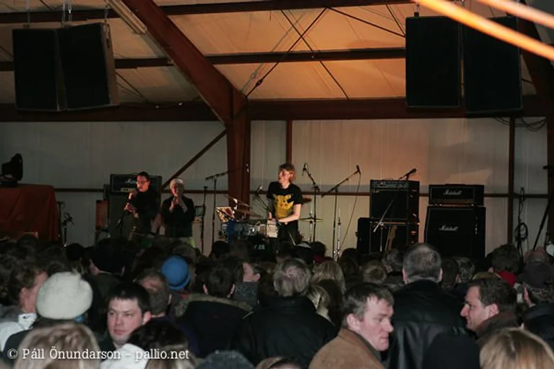 Aldrei fór ég suður 2007 - mynd 59