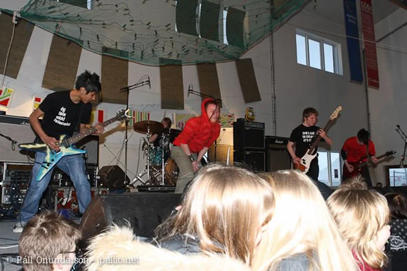 Aldrei fór ég suður 2009 - mynd 20