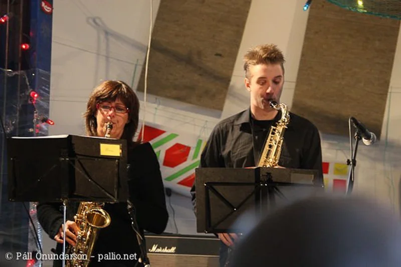 Aldrei fór ég suður 2009 - mynd 48