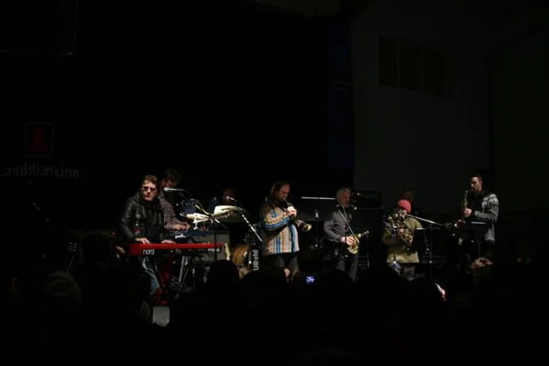 Aldrei fór ég suður 2010 - mynd 18