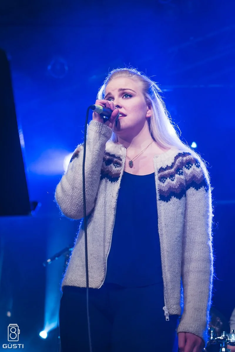Aldrei fór ég suður 2016 - mynd 14