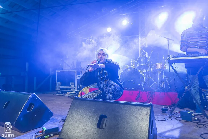 Aldrei fór ég suður 2016 - mynd 44