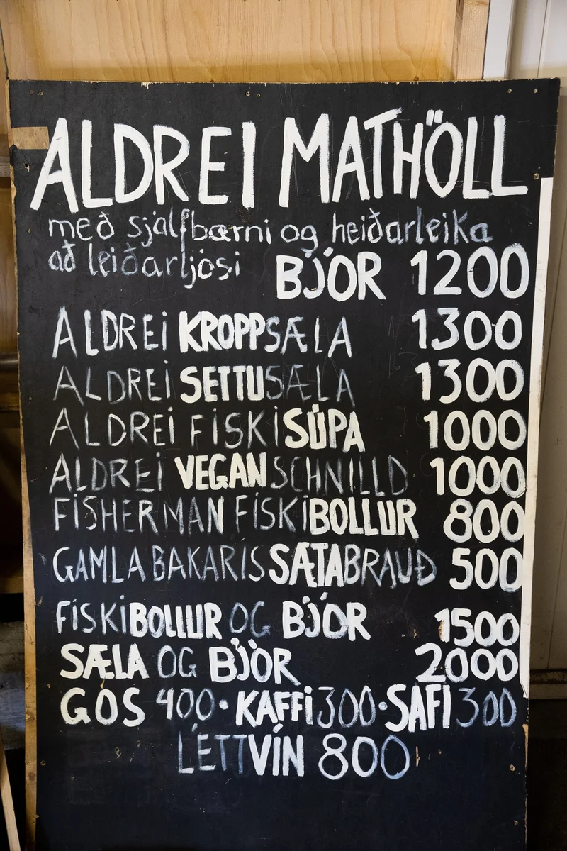 Aldrei fór ég suður 2023 - mynd 52
