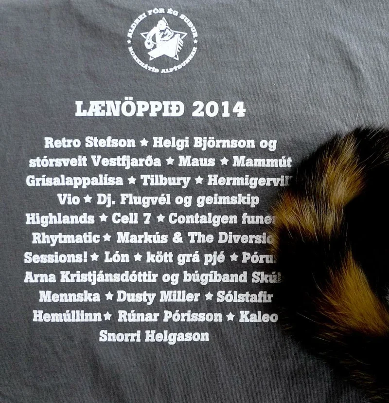 Aldrei fór ég suður 2014 - mynd 10