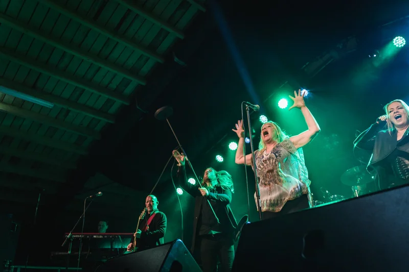 Aldrei fór ég suður 2019 - mynd 15