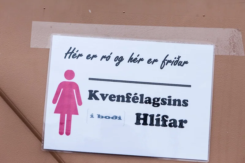Aldrei fór ég suður 2013 - mynd 2