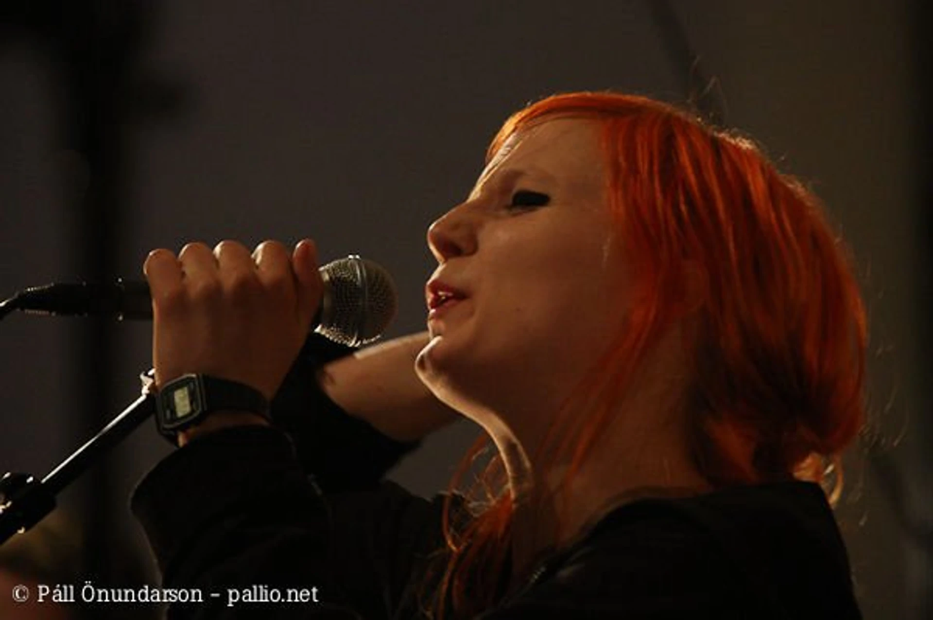 Aldrei fór ég suður 2009