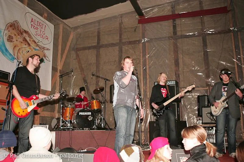 Aldrei fór ég suður 2005 - mynd 11