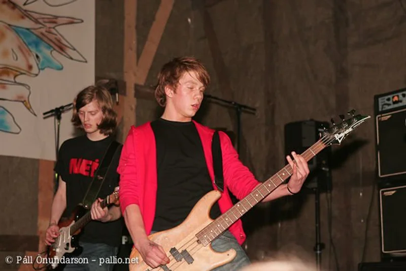 Aldrei fór ég suður 2005 - mynd 37