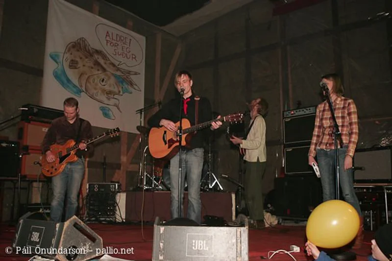 Aldrei fór ég suður 2005 - mynd 34