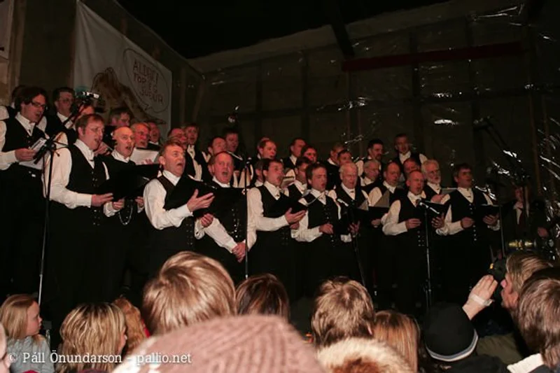 Aldrei fór ég suður 2005 - mynd 29
